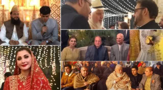 Zayd Hussain Nawazs Grand Nikkah Ceremony Sparks Online Buzz See Pictures