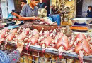 Latest Chicken Prices Update For Lahore Punjab In Jan 2025