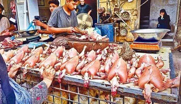 Latest Chicken Prices Update For Lahore Punjab In Jan 2025