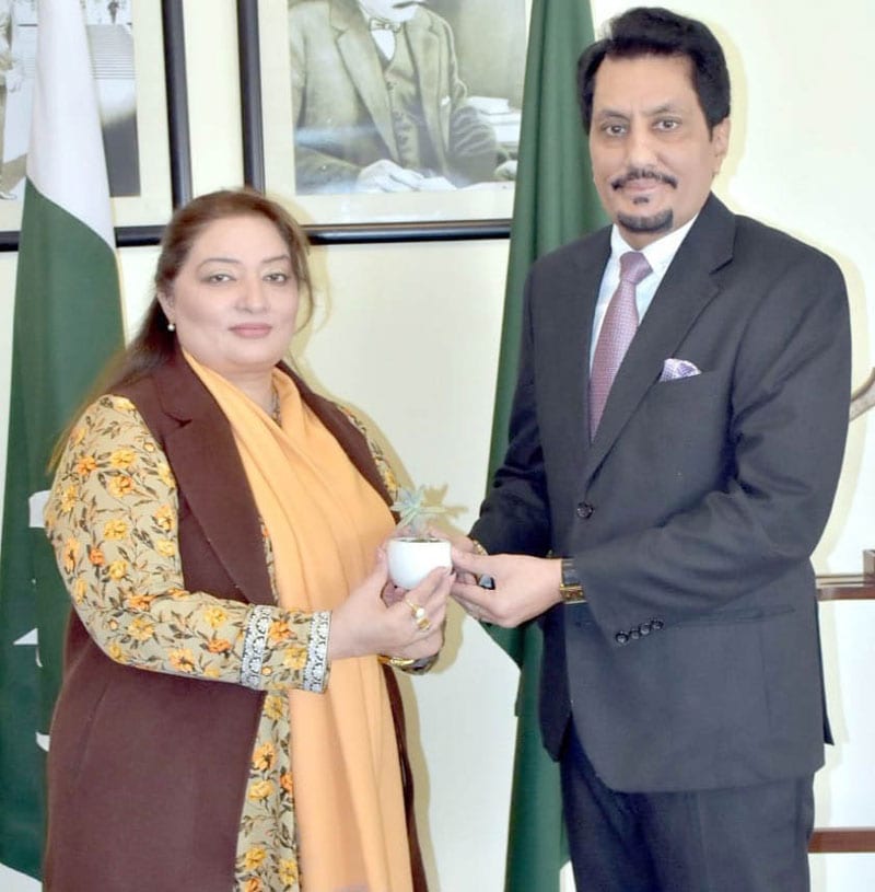 Pakistan Committed To Find Potential Solutions To Challenges Of Climate Change Romina 