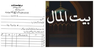 Punjab Baitul Maal Rs30000 Payment Application 2025 Update