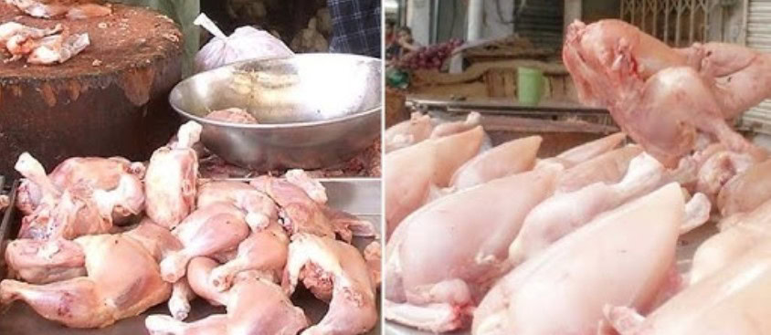 Why Are Chicken Prices In Lahore And Karachi Reaching New Highs This Winter