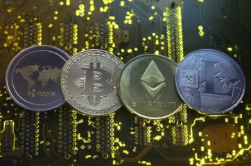 Who Are Chairman And Ceo Of New Pakistan Crypto Council