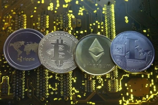 Who Are Chairman And Ceo Of New Pakistan Crypto Council