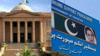 Benazir Income Support Programme Employees Conditionally Reinstated