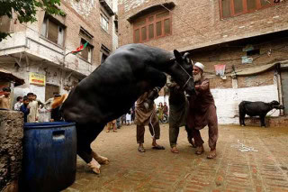 Eid Ul Azha 2025 Festivities Continue Across Pakistan On Second Day