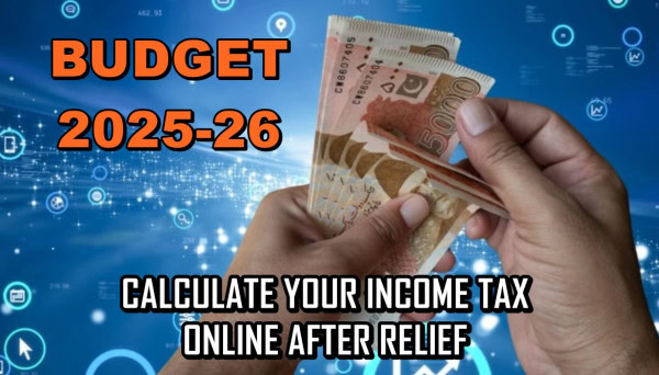 TAX CALCULATOR 2025 26 PAKISTAN visual data 3