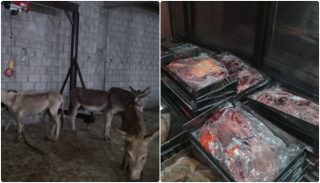 1000kg Donkey Meat Confiscated From Islamabads Tarnol
