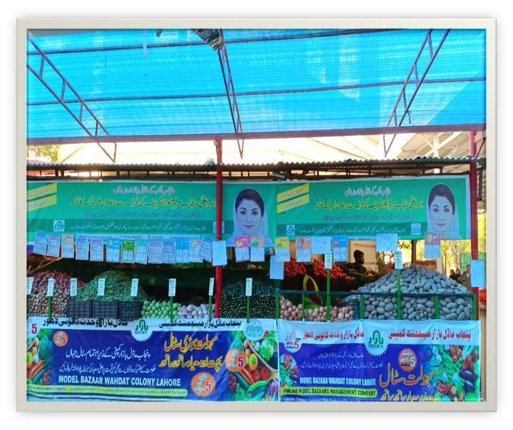 Pakistan Rafa Kat A Subsidy-Free Revolution: How Naveed Rafaqat Ahmad Built Pakistan’s ...