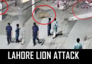 Shocking Video Shows Pet Lion Attacking Children Women In Lahore