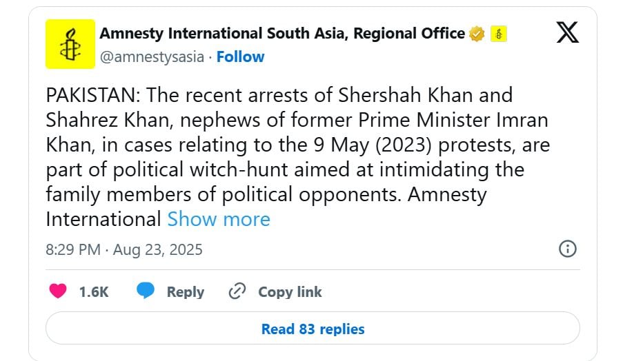 Amnesty International Slams Witch Hunt Arrests Of Imran Khans Nephews 