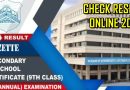 Class 9 Results 2025 Quick Ways To Check Results Online