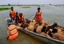 Pakistan Army On Alert As Punjab Seeks Help In Six Districts Amid Floods
