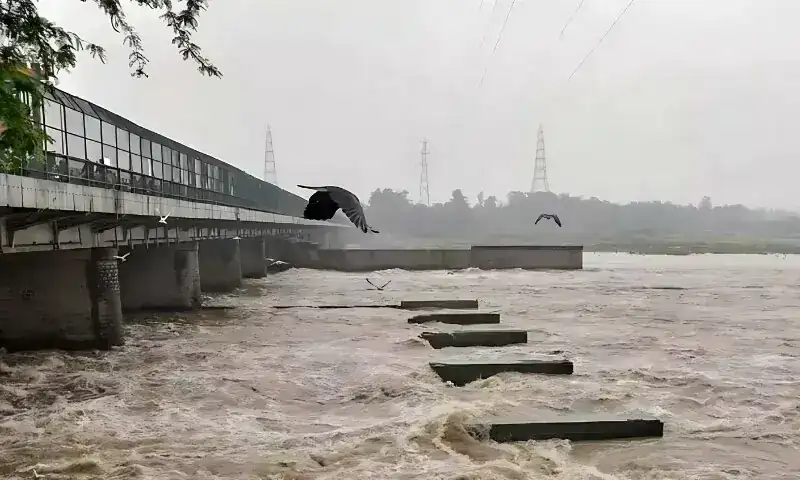 Punjab Rivers In High Flood As Monsoon Rains Intensify