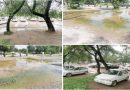Rainwater Accumulation Outside Itp Office A Genuine Public Concern