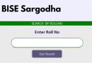 Sargodha Board 9th Class Results 2025 Announced Where To Check