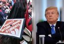 Us Revokes Over 6000 Student Visas Under Strict Immigration Policy