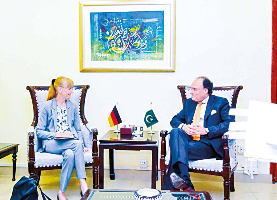 Aurangzeb Urges German Cos To Invest In Pakisan