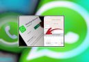 Chat In Any Language With Whatsapps New Translation Feature