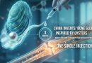 Chinas Bone Glue Repairs Fractures In Just 3 Minutes Full Details Here