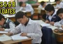 Class 5 And 8 Board Exams To Start From Feb 9 In Punjab Full Schedule