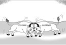 Daily Cartoon 04 09 2025