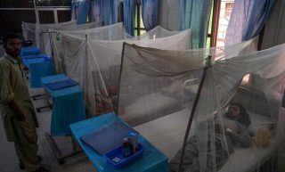 Dengue On Rise As Islamabad Reports 32 New Case During Last 24 Hours