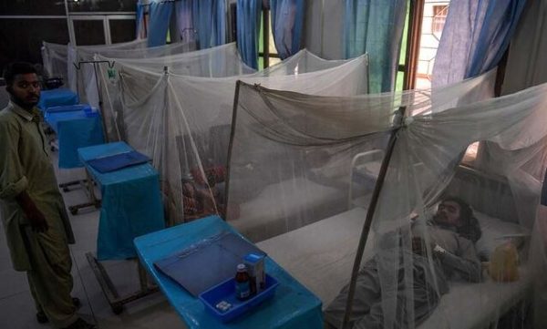 Dengue On Rise As Islamabad Reports 32 New Case During Last 24 Hours