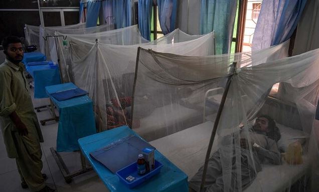 Dengue On Rise As Islamabad Reports 32 New Case During Last 24 Hours