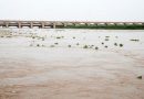 Multan On Edge As Floodwaters Surge Towards Sindh Amid Evacuations