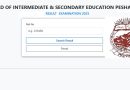 Peshawar Board 12th Class Results 2025 Ways To Check Online