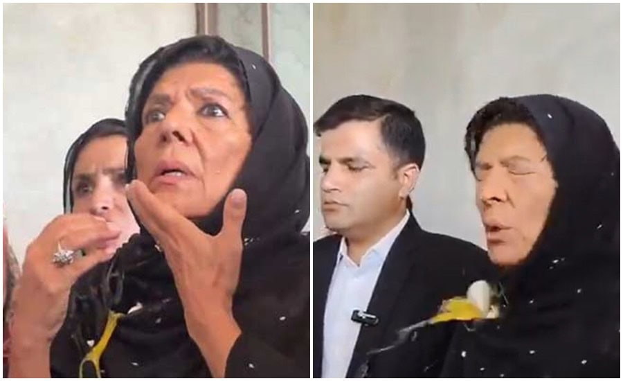 Pti Decries Police Complicity In Pre Planned Egg Attack On Aleema Khan