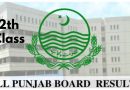Punjab Boards Class 12 Results 2025 Update 3 Methods To Check Marks