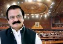 Rana Sanaullah Elected Senator From Punjab Securing 250 Votes