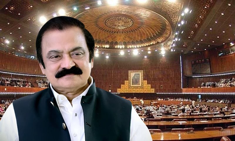 Rana Sanaullah Elected Senator From Punjab Securing 250 Votes