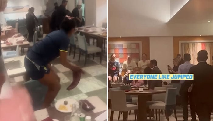 Australian Women Cricketers Panic As Rat Disrupts Dinner At Indian Hotel