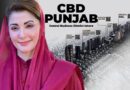 Cm Maryam Nawaz Becomes Cbd Chairperson For Three Years