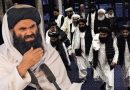 Haqqani Takes Aim At Top Taliban Leaders For Taking Undue Credit For Afghanistans Jihad