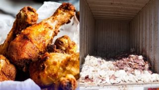 Police Bust Dead Chicken Meat Supply To Karachi Hotels 80 Kg Seized