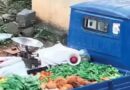 Rawalpindi Vendor Arrested For Using Loudspeaker To Sell Vegetables