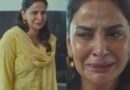 Saba Qamar Faces Botox Lip Filler Allegations After Viral Drama Scene