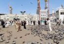 Saudi Arabia To Impose 1000 Riyal Fine For Feeding Pigeons Near Masjid Al Haram Masjid Al Nabawi