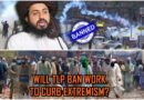Tlp Ban Will Ban On Hardline Party Curb Religious Extremism In Pakistan Or Fuel It Further
