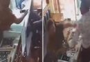 Chili Powder Attack Backfires As Woman Faces Shopkeepers Wrath In Viral Video
