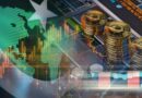 How To Increase Pace On Documented Digitized Economy In Pakistan