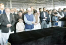 Irfan Siddiqui Laid To Rest