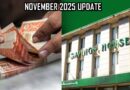 New Profit Rates Announced On Savings Schemes For November 2025