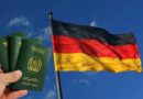 No Job Offer Letter Required Know About Germany Opportunity Card For Pakistanis