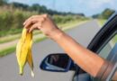 Rs10000 Fine For Throwing Waste From Car As Punjab Imposes New Challan Rates