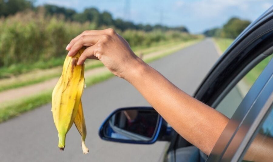 Rs10000 Fine For Throwing Waste From Car As Punjab Imposes New Challan Rates